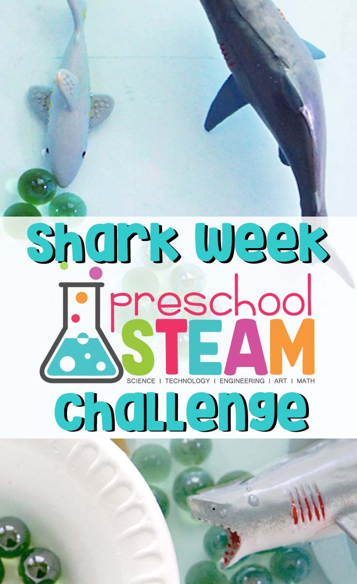 shark week pin