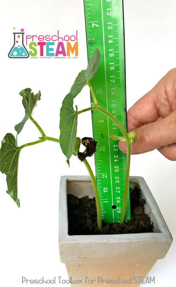 What are the best conditions for plants to grow?