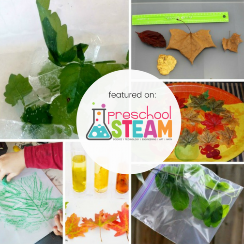 easy science experiments with leaves