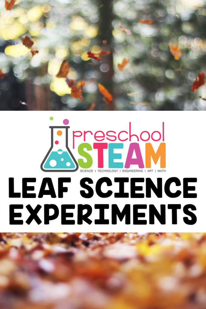 leaf science experiments for preschoolers