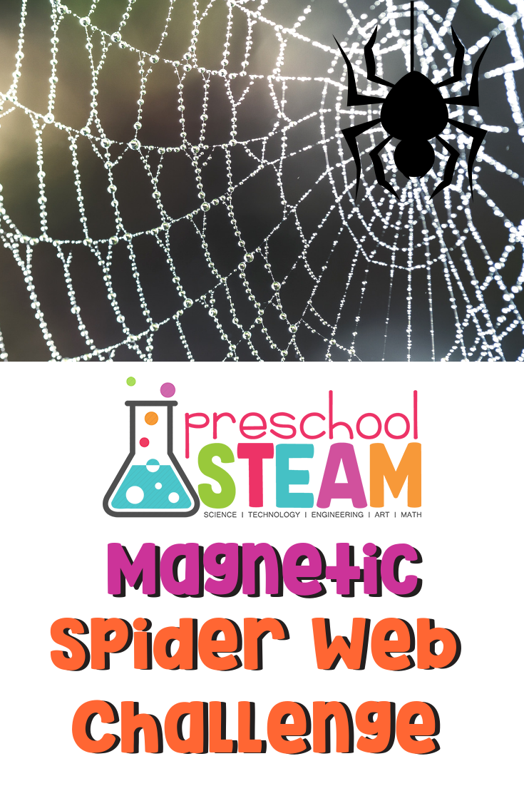 Magic Spider Web Experiment: Halloween STEAM Activity