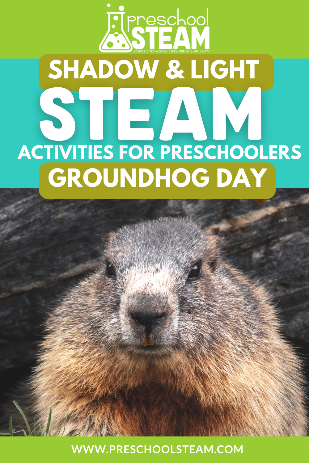 Groundhog Day Shadows: Hands-On STEAM Activities for Preschoolers ...