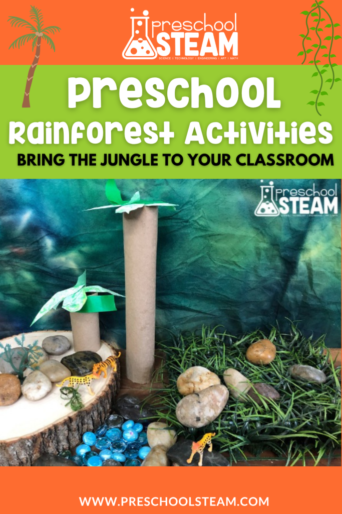 rainforest steam