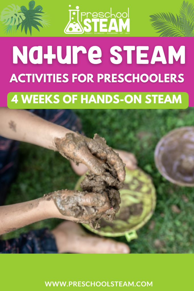 nature STEAM 